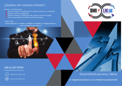 SMI & LMI SPAIN ¿Quiénes son nuestros clientes?