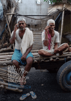 Gu&iacute;a para una revoluci&oacute;n de datos