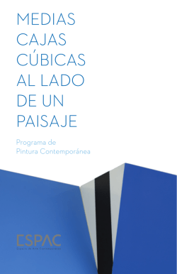 MEDIAS CAJAS CÚBICAS AL LADO DE UN PAISAJE