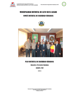 29-01-15-Plan Distrital de Seguridad Ciudadana