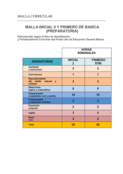 MALLA INICIAL II Y PRIMERO DE BASÍCA (PREPARATORIA)