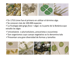 En 1753 Linne fue el primero en utilizar el término alga. Se conocen