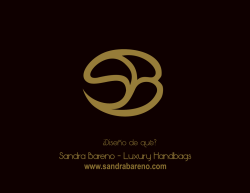 Sandra Bareno Luxury Handbags