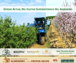 ALMENDRO y otros FRUTOS SECOS