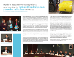 Hacia el desarrollo de una pol&iacute;tica para la gesti&oacute;n del
