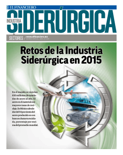 Suplemento Industria Siderúrgica 2015