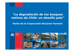 “La degradación de los bosques nativos de Chile: un desafío país”