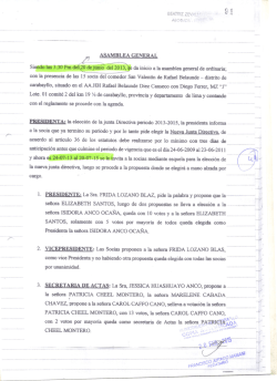 carabayllo, situado en el AA.HH Rafael Belaunde Diez Canseco con