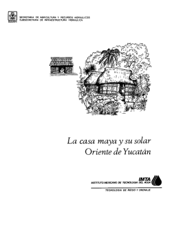 La casa maya y su solar Oriente de Yucat&aacute;n IMTA