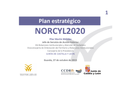 4.4. Estrategia NORCYL 2020 (JCYL)