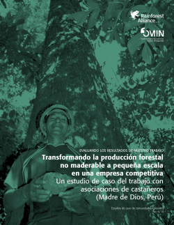 Transformando la producción forestal no maderable a pequeña