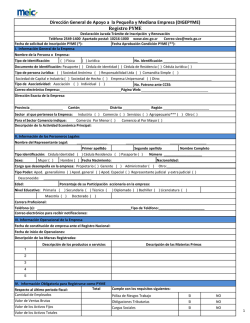 Registro PYME Dirección General de Apoyo a la Pequeña y