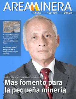 Más fomento para la pequeña minería
