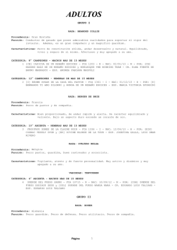 PCDA071 con ordenamiento FINAL