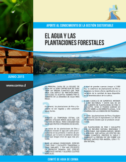 el agua y las plantaciones forestales