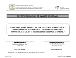 reporte quincenal de avance de obra