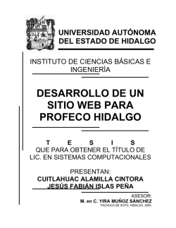 desarrollo de un sitio web para profeco hidalgo