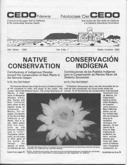 CEDONews Noticias De1CEDO