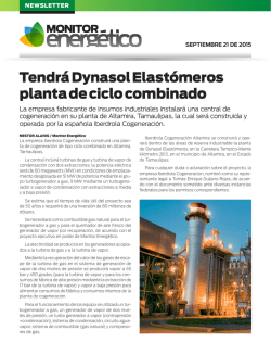 Tendrá Dynasol Elastómeros planta de ciclo combinado