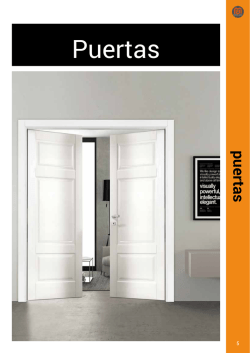 Puertas + Marco telescópico