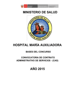 MINISTERIO DE SALUD HOSPITAL MARÍA AUXILIADORA AÑO 2015
