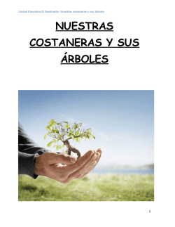 : Nuestras costaneras y sus árboles