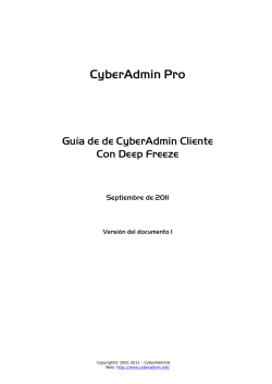 CyberAdmin Pro