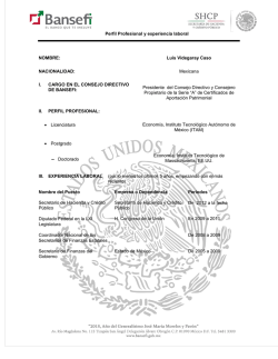 Perfil Profesional y Experiencia Laboral de los miembros