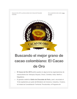 Buscando el mejor grano de cacao colombiano: El