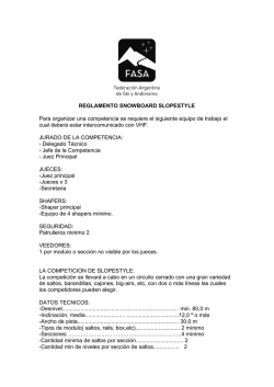 REGLAMENTO SNOWBOARD SLOPESTYLE Para