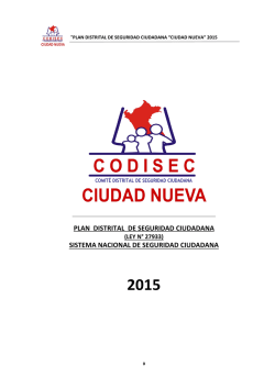 plan distrital de seguridad ciudadana