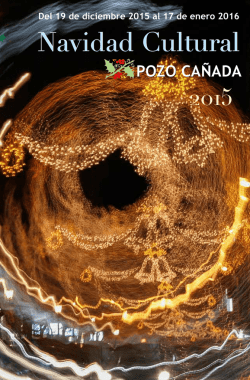 programa navidad 2016 - Ayuntamiento de Pozo Cañada