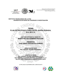 PLAN ESTRATÉGICO PARA HOTEL BAHÍA DORADA, S.A. DE C.V.