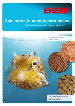 Guía sobre la comida para peces