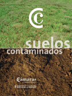 suelos contaminados 8 pags trz - Cámara de Comercio de Castellón