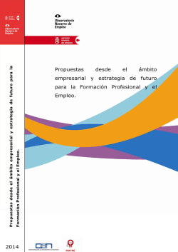 Propuestas desde el ámbito empresarial y estrategia de futuro para