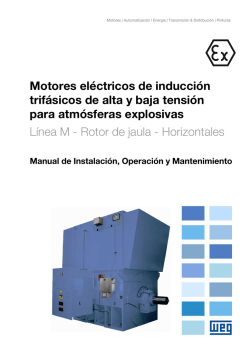 Motores eléctricos de inducción trifásicos de alta y baja