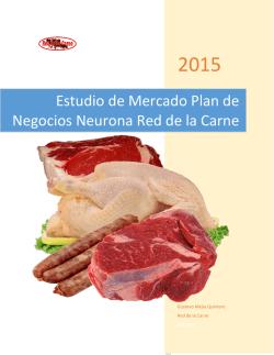 Estudio de Mercado Plan de Negocios Neurona Red de la Carne