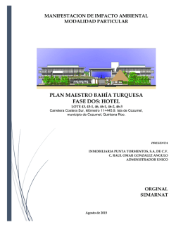 PLAN MAESTRO BAHÍA TURQUESA FASE DOS: HOTEL