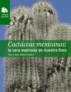 Cactáceas mexicanas: la cara espinosa de nuestra flora