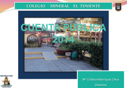 Cuenta Pública 2014 - Colegio Mineral El Teniente