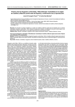 Primera cita de Oxygastra curtisii (Dale, 1834