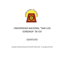 universidad nacional “san luis gonzaga”