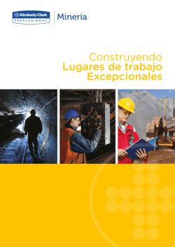 Catalogo Minería.