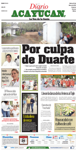 Roya acabó con cultivo de café