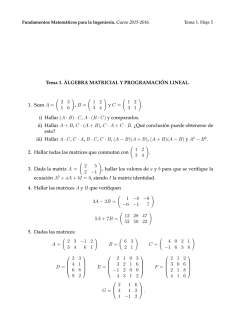Problemas del tema 1