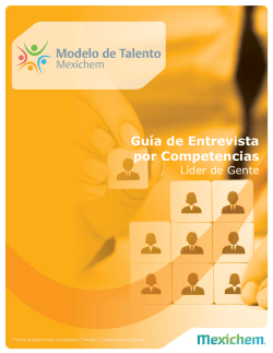 Guía de Entrevista por Competencias