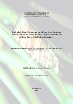 Umbral de Daño Económico para Rhyacionia frustrana Comstock