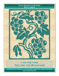 I am the Vine You are the Branches