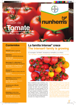 Tomate - Nunhems